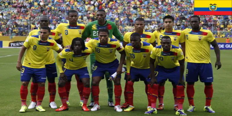 Giới thiệu về đội tuyển bóng đá quốc gia Ecuador